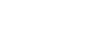 Native Advertising Institute